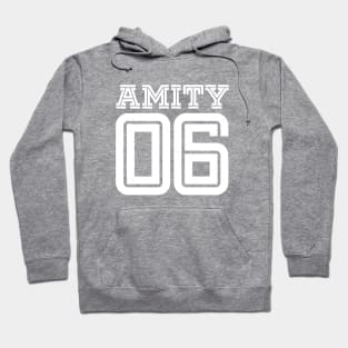 Amity 6 Vintage Jersey Hoodie